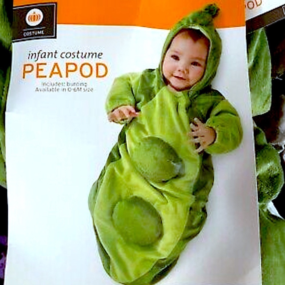 PEAPOD BUNTING NWOT - Picture 10 of 11